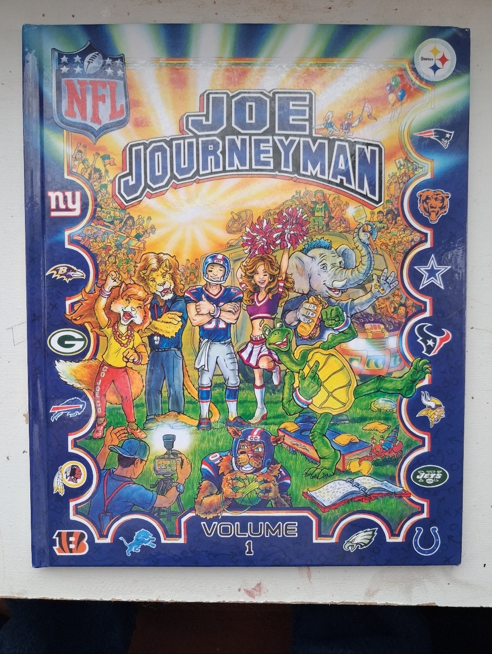 Joe Journeyman Volume 1 NFL Collectible Book (2015, Hardcover)